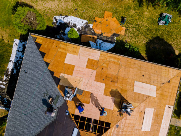 Best Roof Replacement Cost  in Brandon, MS